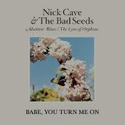 Nick Cave The Bad Seeds Babe You Turn Me On