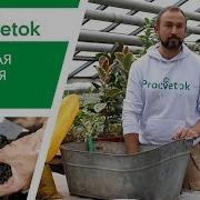 Галина Кизима Заготовки На Зиму Лучшие Рецепты Для Тех Кто Ценит Свое Время
