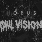 Owl Vision Horus