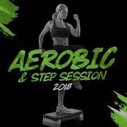 Step Aerobic Hits 130