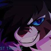 Warrior Cats Blood Water