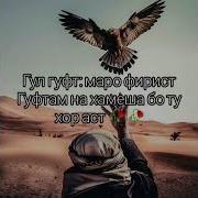 Зодруз Муборак Мунисачон