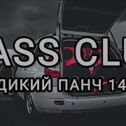 Дикий Панч 159