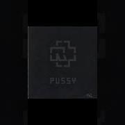 Rammstein Pussy Backing Track