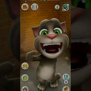 Talking Tom Cat