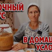 Целебный Уксус 100 Лучших Рецептов