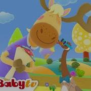 Babytv Nursery Rhymes