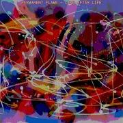 Moments Between Time Permanent Flame