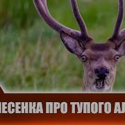 Песенка Про Тупого Аленя