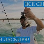 Мой Любимий Ролик