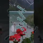 Утро Доброе Хочу Пожелать Вам