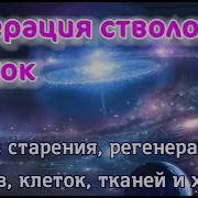 Генерация Стволовых Клеток Против Старения Регенерация Нервов Клеток Тканей И Хрящей