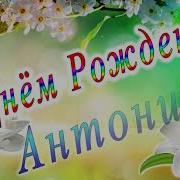 С Днем Рождения Антонина