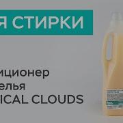 Абсолютное Зрение Белый Кролик
