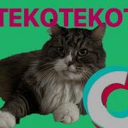 Польская Песенка Про Кота