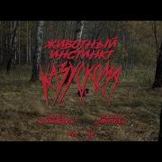 Животный Инстинкт Казускома