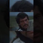 Фраза Про Костер