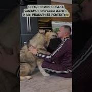 Укропы Сосать Девочка Занимается Сексом С Собакой