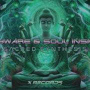 Spyware Soul Insane Sacred Synthesis