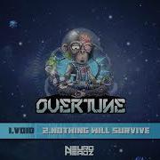 Overtune Void Neuroheadz