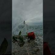 Дог Догу Кийрахь Марса Йохуш Шейха Летта Ц1Е