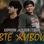 Бадик Товте Живойда
