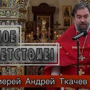 Ткачев Последнее