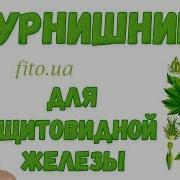 Дурнышка