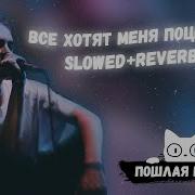 Все Хотят Меня Поцеловать Slowed 8D