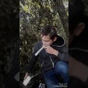 Ароро Ароро Песня Рэп Тик Ток