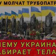 Колобок Из Одессы Потерь Нет Точно