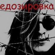 Передозировка Летов