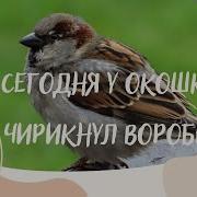 Сегодня У Окошка Чирикнул Воробей Минус