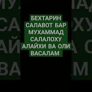 Бехтарин Салавот