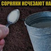 Я Знаю Путь