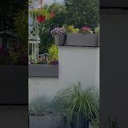 Красиво Просто Мария