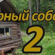 Тайга Черный Соболь2