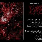 Excrescence