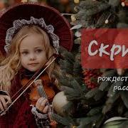 Рождественский Рассказ Скрипка