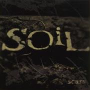 Soil