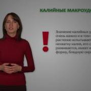 Удобрения 6 Класс