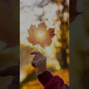 Солнце Моё Доброе Утро