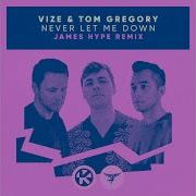 Never Let Me Down James Hype Remix Vize Tom Gregory
