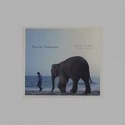 Elephant Show Ryuichi Sakamoto