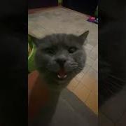 Кристина Вот Это У Тебя