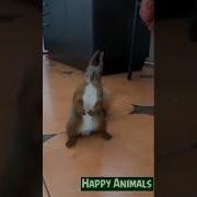 Махаца Будешь Со Мной