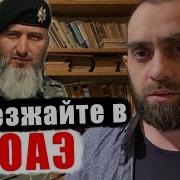 Zamid Chalaev Из Тик Тока