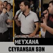 San Hali Maladoysan Mp3