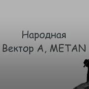 А Берёзы Тут Шумят Потому Что Слишком Дерзкие Текст