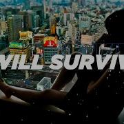 I Will Survive Remix